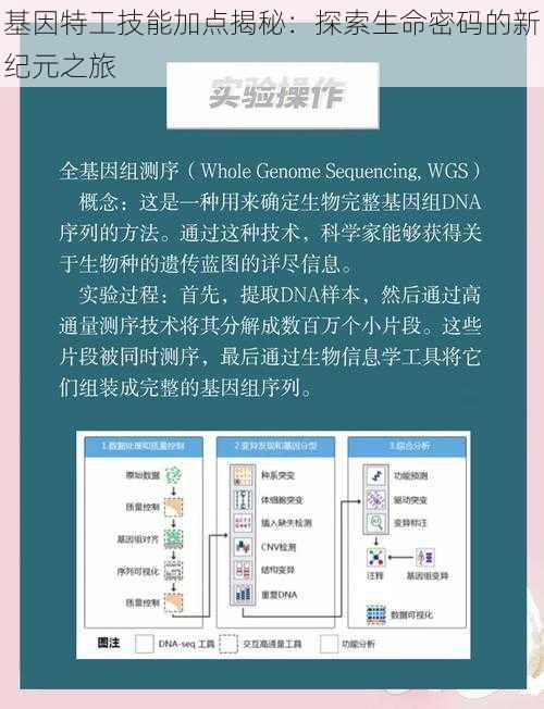 基因特工技能加点揭秘：探索生命密码的新纪元之旅