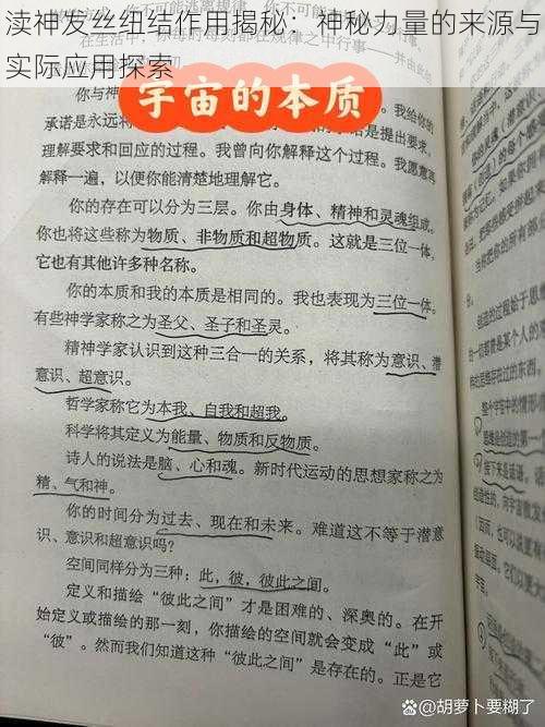 渎神发丝纽结作用揭秘：神秘力量的来源与实际应用探索