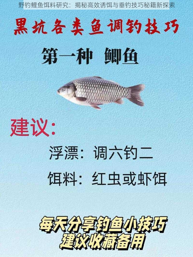 野钓鲤鱼饵料研究：揭秘高效诱饵与垂钓技巧秘籍新探索