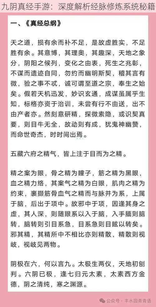 九阴真经手游：深度解析经脉修炼系统秘籍