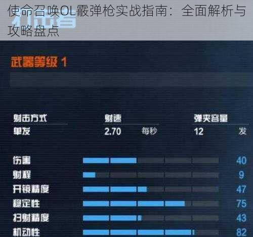 使命召唤OL霰弹枪实战指南：全面解析与攻略盘点